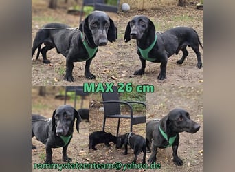 Max bisheriges Leben war nicht schön