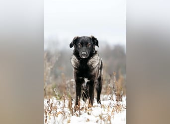 Vorsichtige Tama sucht ihre Familie