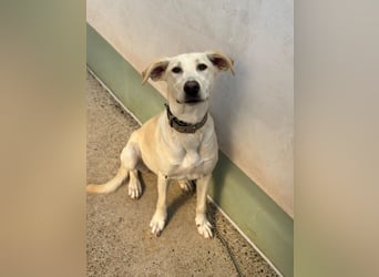 Lilly – sensibel, aktiv, besonders. Wer gibt ihr diesmal die richtige Chance?