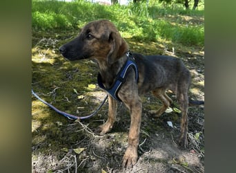 Nena ein kleiner Engel
