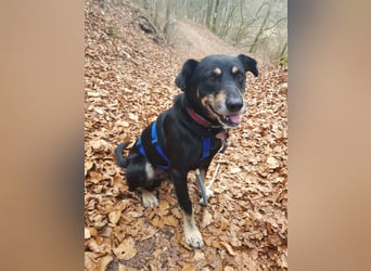 Rudi sucht seine Menschen