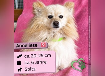 Anneliese