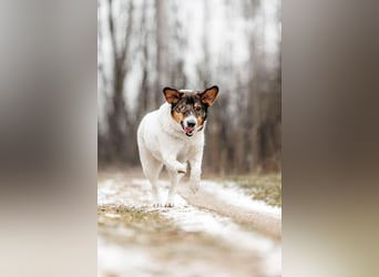 Besondere Agatha sucht ihre Menschen