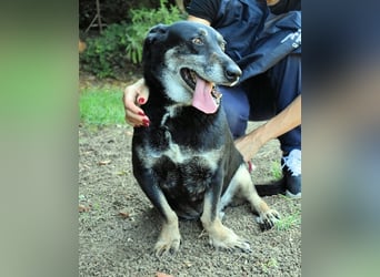 Fonzy- Unikat sucht ebensolches - und Liebe!