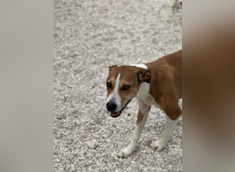 Marley, freundlich und sozial