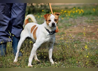BERNI - der Allrounder