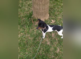 Mateo
