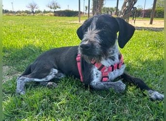 Frida