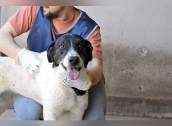 Lorianne - Diplomierte Zuhörerin sucht Sofa & Sonne