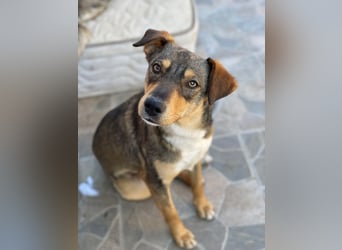 Maggie sucht liebevolles zu Hause