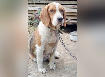MATHILDA - unter keinem guten Stern geboren!