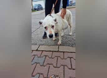 Hera-DG, Omi sucht Seniorenresidenz!