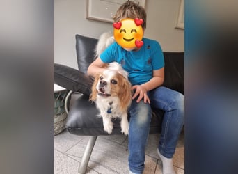Leon verliert sein Zuhause