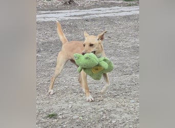 Bonita, freundlich und sozial