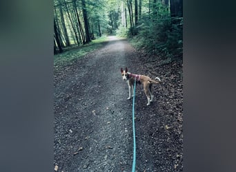 Frodo ein toller Kerl !