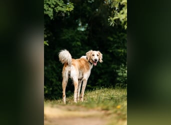 Aktiver Richard sucht seine Menschen