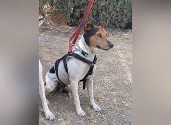 KIKA