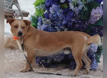 Max & Kika ❤️ liebevolles Zuhause gesucht