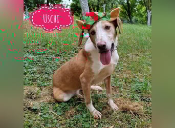 Uschi eine wundervolle Seele