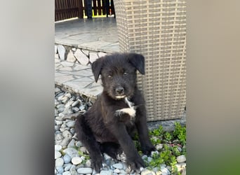 Eléa – Kleine Entdeckerin mit großem Herz sucht Zuhause