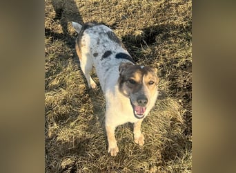 Aufgeschlossene Freya sucht liebe Familie