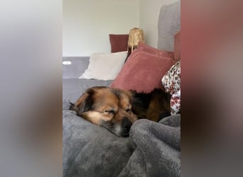 Maks – klein, aber oho! (44869 Bochum)