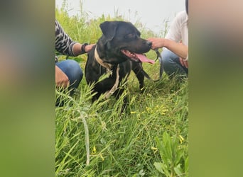 Mya: „Dürfte ich bei Ihnen einziehen?“