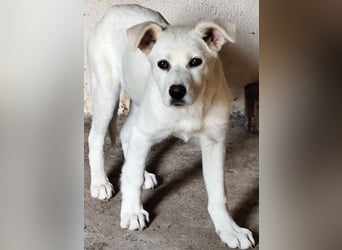 Celia – Lebensfroher Wirbelwind sucht ihre Familie fürs Leben!