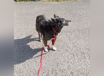 Klotild