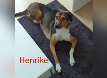 HENRIKE ❤ (wird mittlerweile „Awa“ genannt)  wartet in 90478 Nürnberg auf Dich