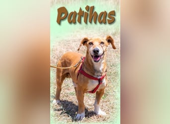 Patinhas - ein ganz Lieber