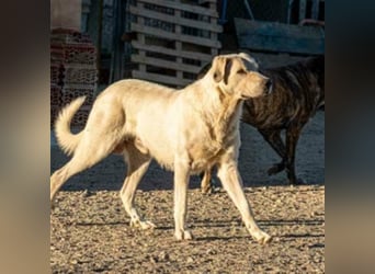Bunti-wartet auf ein XXL-Körbchen