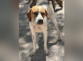 Cooper, hofft auf eine Chance