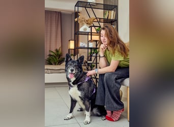 Kleiner Superstar Felix sucht seine Menschen