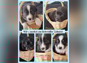 Sie sind endlich da 4 Mädels und 5 Jungs
