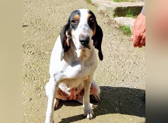 Alice - grosse Kämpferin und Sonnenschein - mit Alice gewinnt ihr eine Freundin fürs Leben