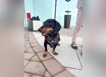 Pepe sucht seine Familie Pepe sucht seine Familie