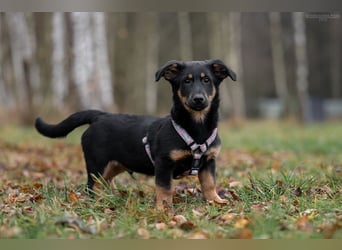 Schlauer SCHON möchte eigene Familie finden