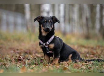 Schlauer SCHON möchte eigene Familie finden