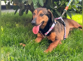 Lea- klein mit großem Herz