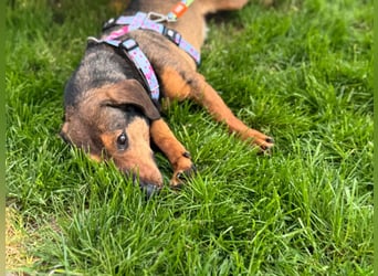 Lea- klein mit großem Herz