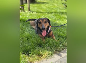 Lea- klein mit großem Herz