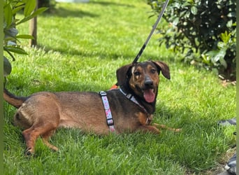 Lea- klein mit großem Herz