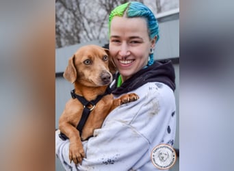 Rudi – der Kuschelkandidat mit den leuchtenden Augen