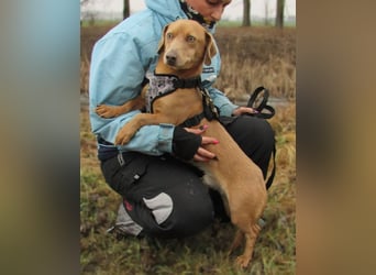 Rudi – der Kuschelkandidat mit den leuchtenden Augen