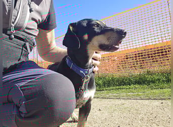 Otto: Spaß und gute Laune garantiert