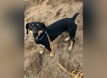 Otto: Spaß und gute Laune garantiert