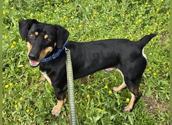 Otto: Spaß und gute Laune garantiert