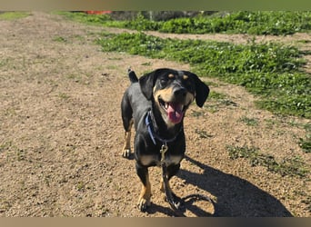 Otto: Spaß und gute Laune garantiert