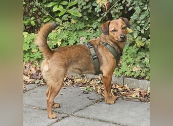 Ebby braucht ein neues Zuhause